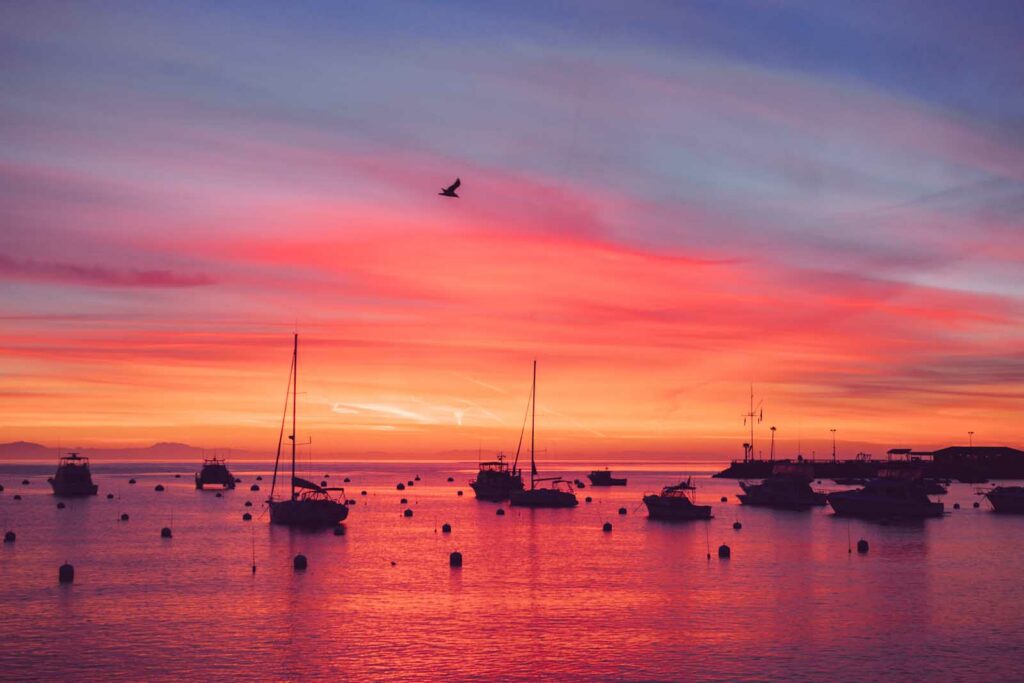 Catalina Island, California - I chickened out; But somehow got rewarded